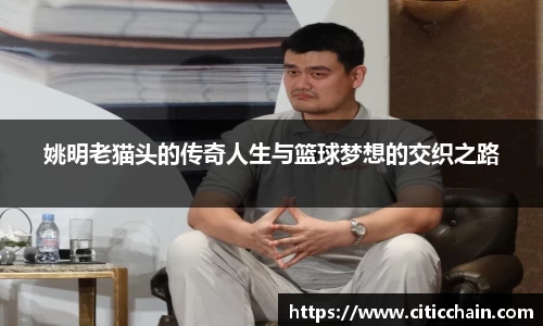 姚明老猫头的传奇人生与篮球梦想的交织之路